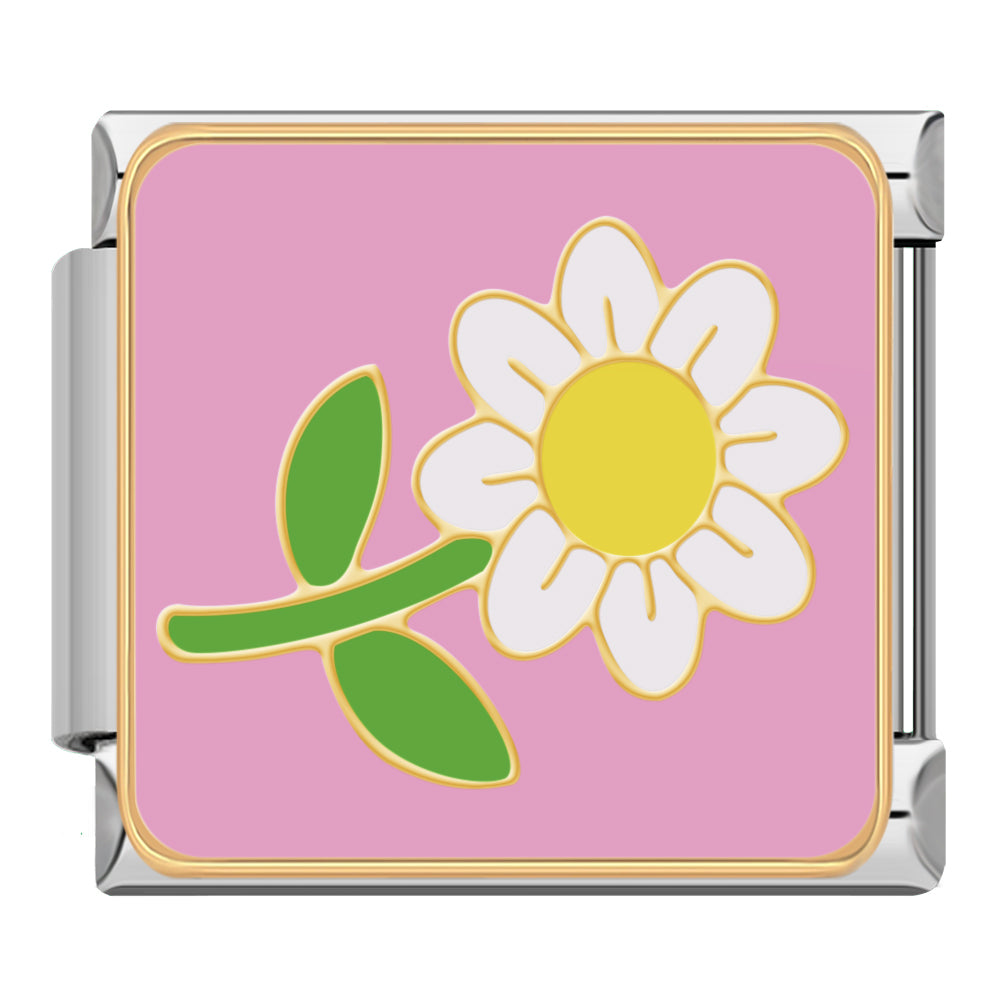 Pack Charm Pink 2