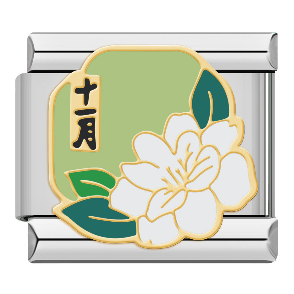 Pack Loài Hoa Tháng Sinh