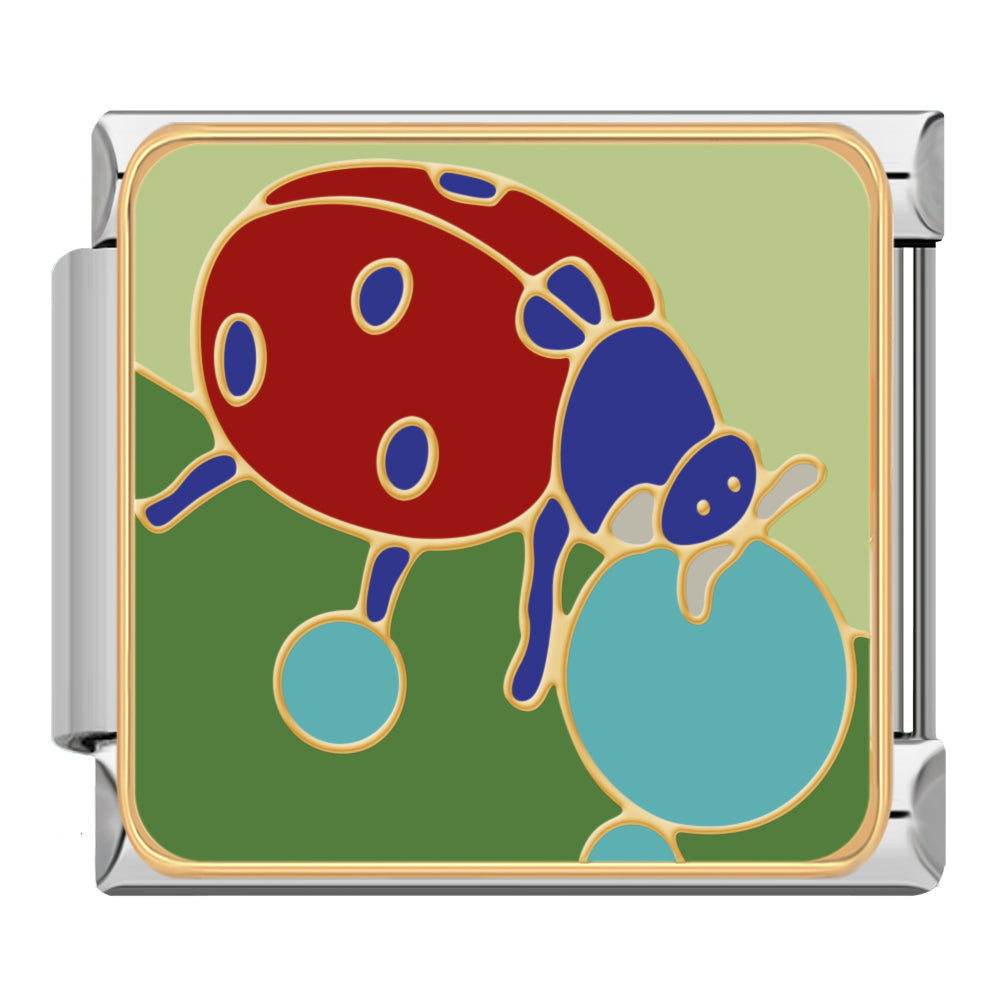 Order | Pack Động Vật 2026