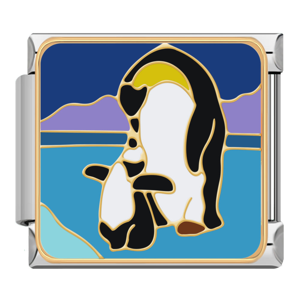 Order | Pack Động Vật 2026