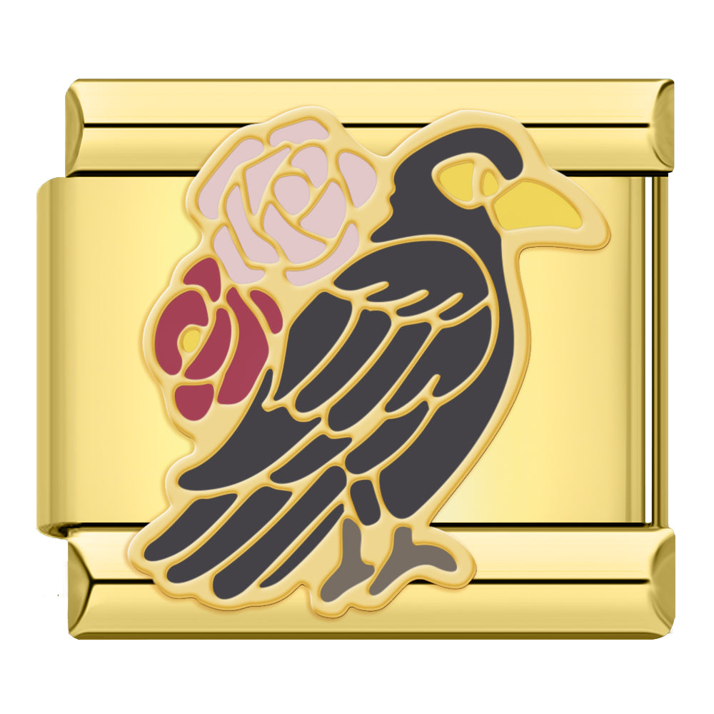 Order | Pack Phép Thuật