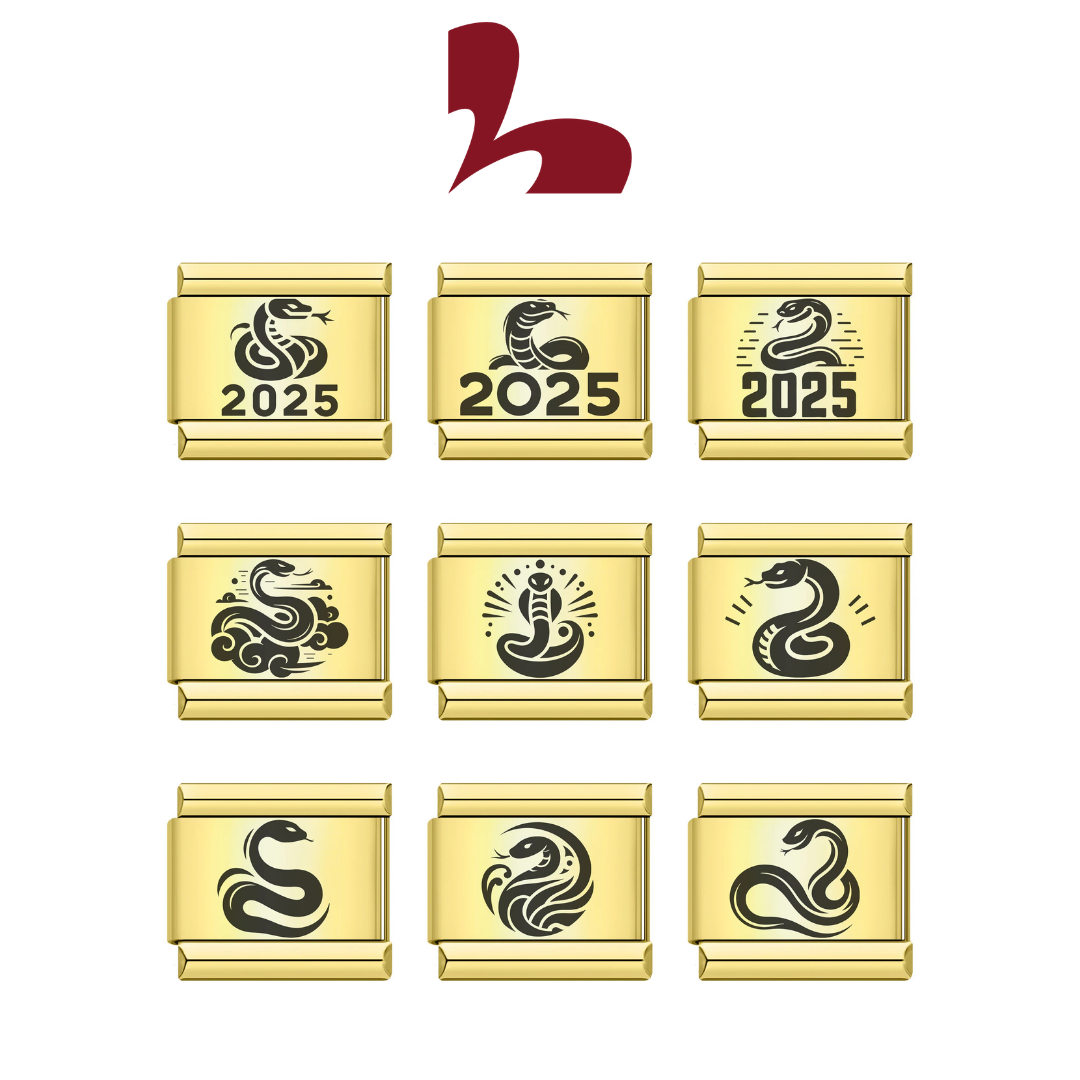 Charm Rắn 2025
