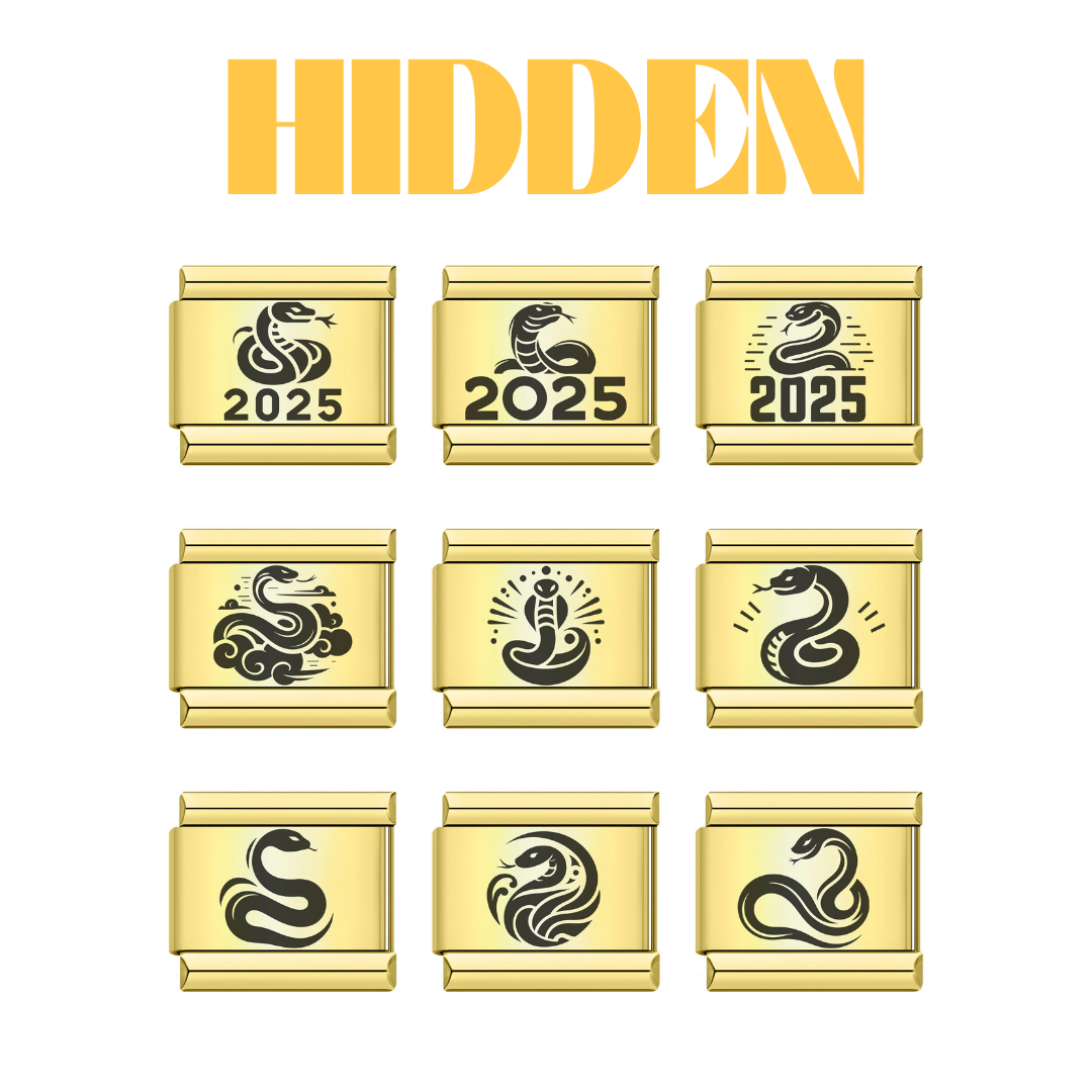 Order | Charm Rắn 2025