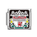 Pack Logo Đội Bóng Đá