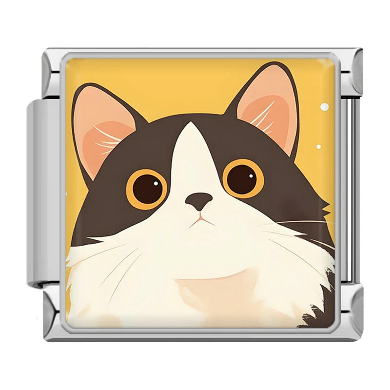 Charm Mèo Pack 2