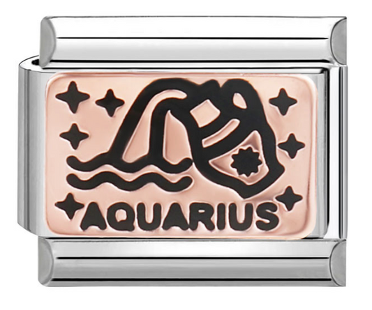 Zodiac Aquarius Sign