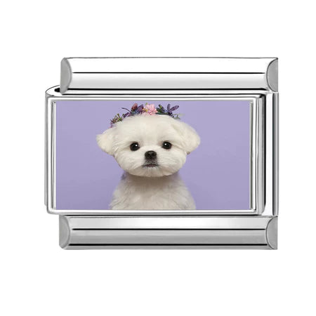 Order | Charm Động Vật Pack 4