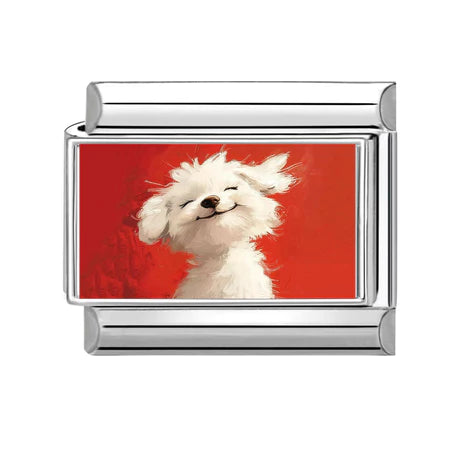 Charm Động Vật Pack 4