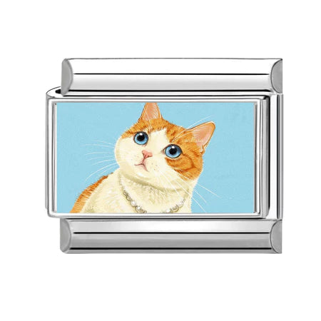 Charm Động Vật Pack 4