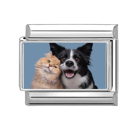 Order | Charm Động Vật Pack 4