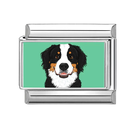 Charm Động Vật Pack 4