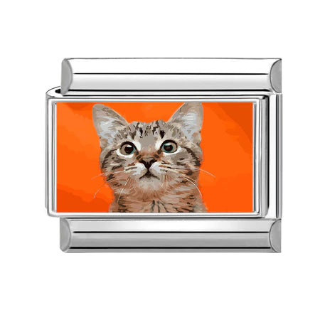 Order | Charm Động Vật Pack 4