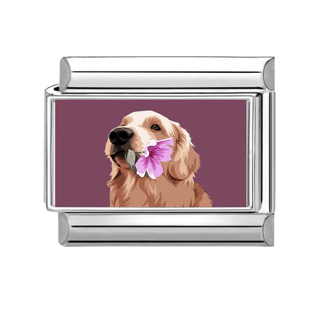 Charm Động Vật Pack 4