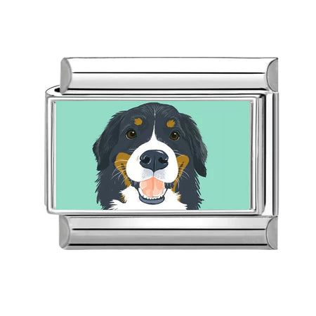 Charm Động Vật Pack 4