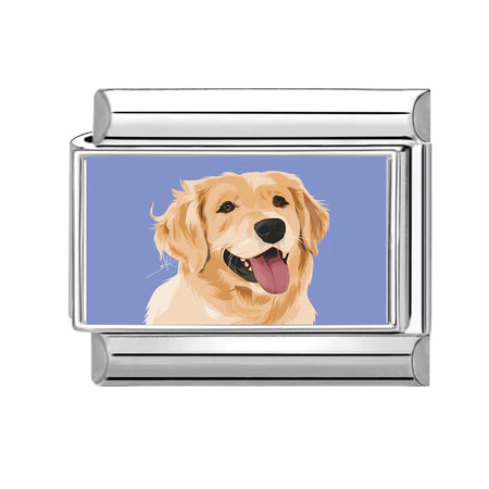 Charm Động Vật Pack 4