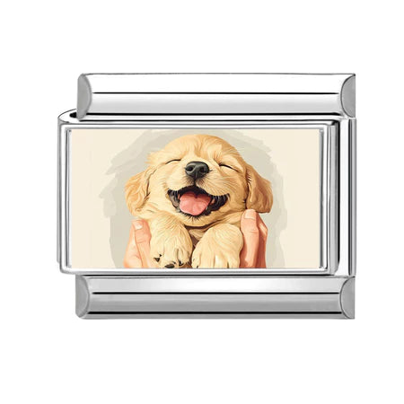 Charm Động Vật Pack 4