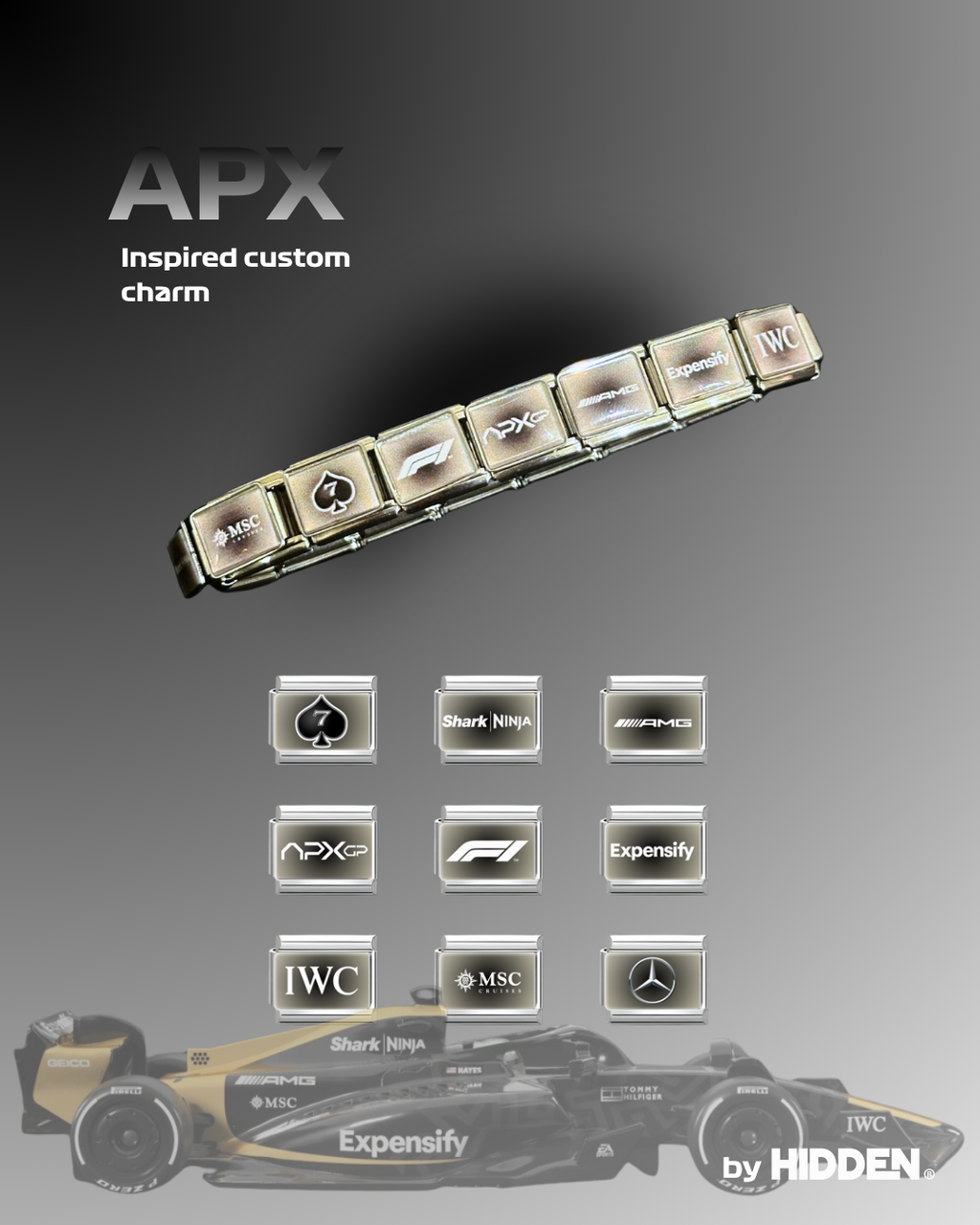 APX GP F1 Team